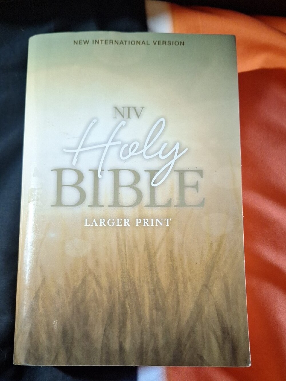 Free in any bundle Holy Bible Larger Print - Tan/Brown Cover